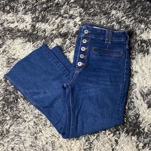 Blue Anthropologie Pilcro Button Up High Rise Bootcut Jeans